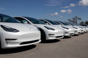 Tesla sales dropping fast, as their 0.69% of the new car market erodes..................