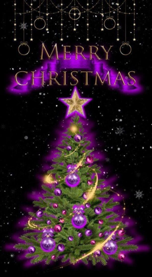 A very Merry Christmas to everyone..................